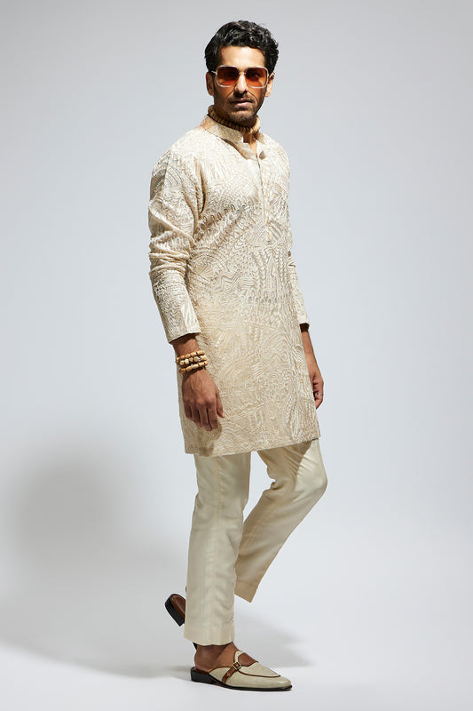 Beige Organza Embroidered Kurta With Pants