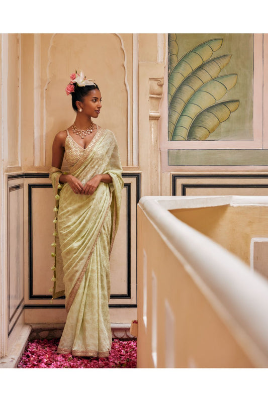 Mint Gold Print Saree With Embroidered Blouse