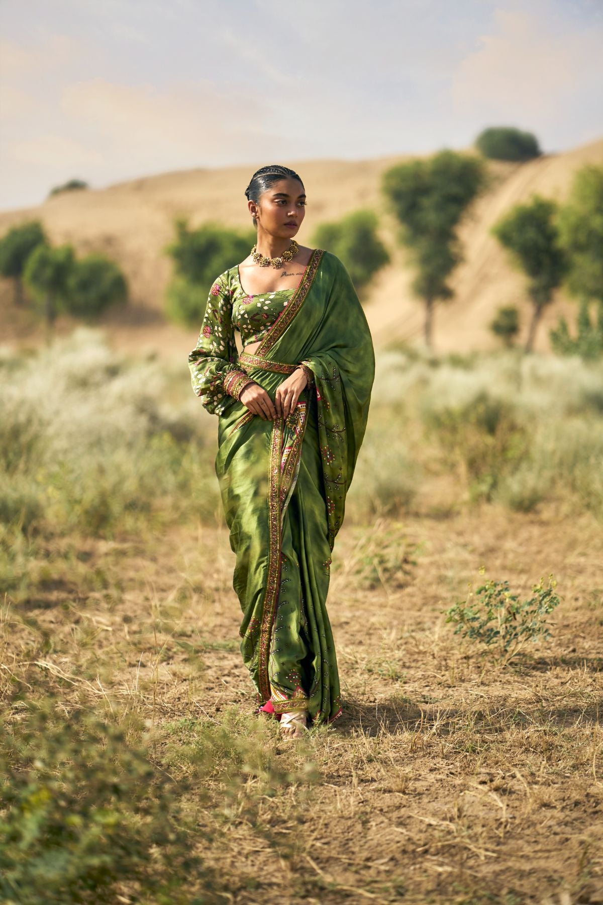 Ranthambore Print Saree