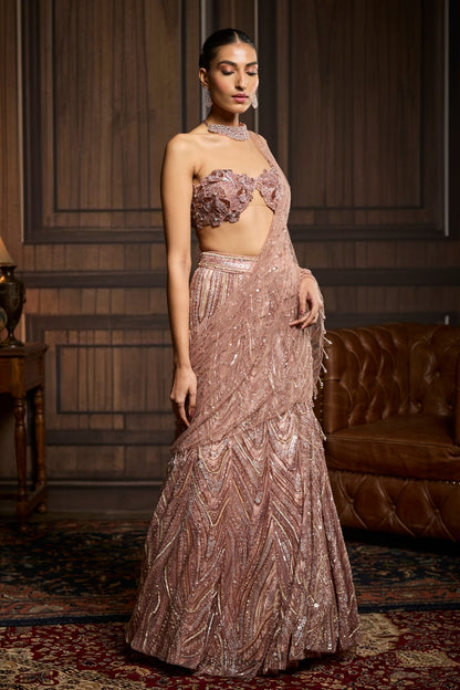 Blush Pink Embellished Pre-draped Skirt Saree Set