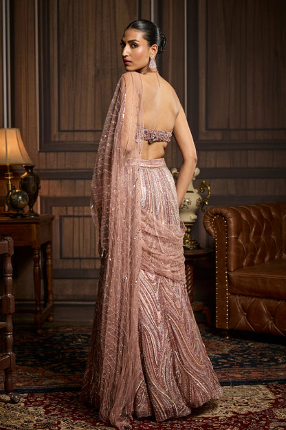 Blush Pink Embellished Pre-draped Skirt Saree Set