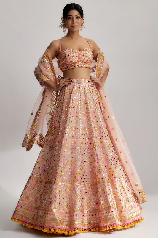 Delnaz Lehenga Set