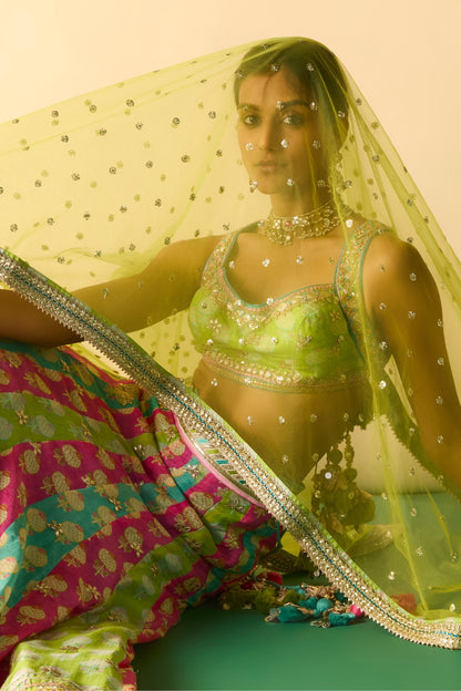 shyama lehenga set