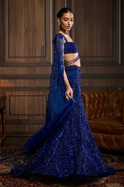 ELECTRIC BLUE  TRAIL MERMAID SKIRT SAREE SET