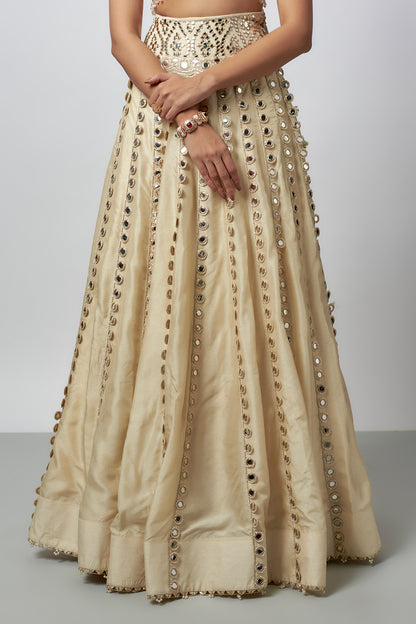 Nargis Fakri in Shravani Lehenga Set