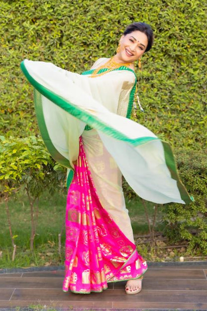 Mint Turtle Tale Saree