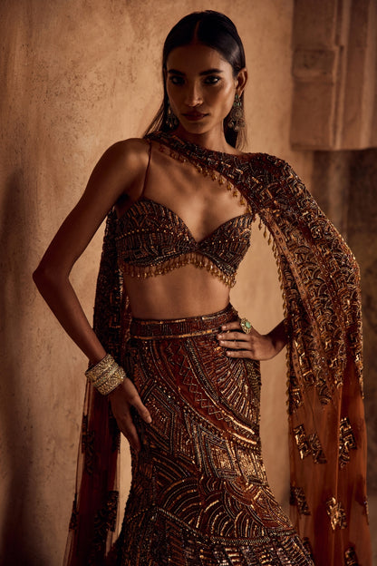 CARAMEL BROWN FULLY EMBROIDERED MERMAID TRAILSKIRT SAREE SET