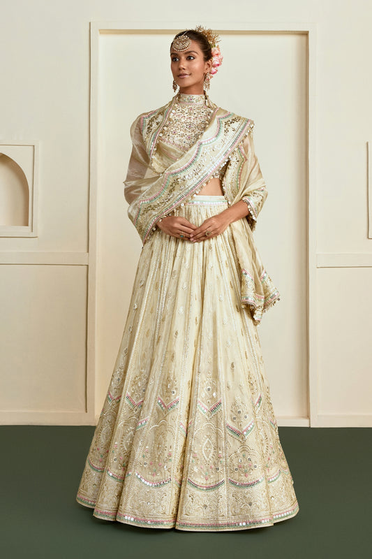 Aabira Lehenga Set