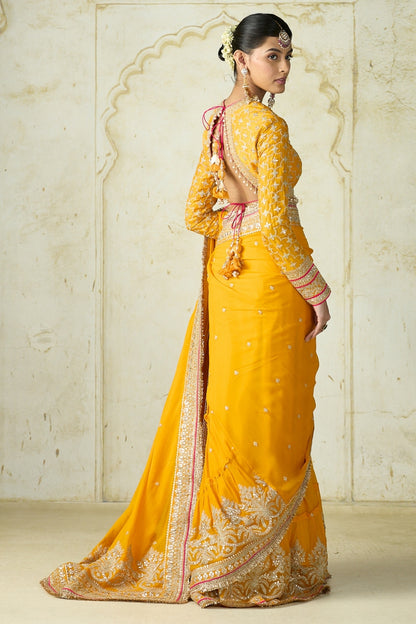 Dilruba Saree Set