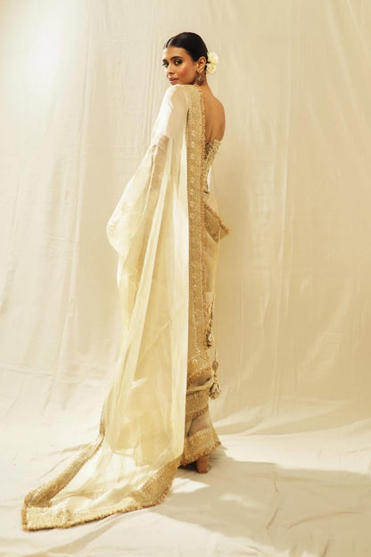 Hebah Patel in Zoya saree Set