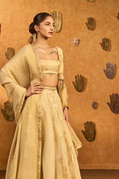Ivory Sakura Tissue Lehenga Set