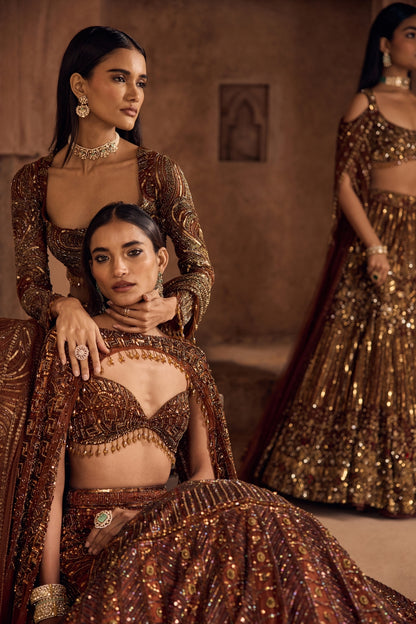 CARAMEL BROWN FULLY EMBROIDERED MERMAID TRAILSKIRT SAREE SET