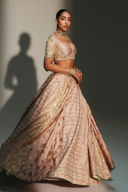VIDHI
