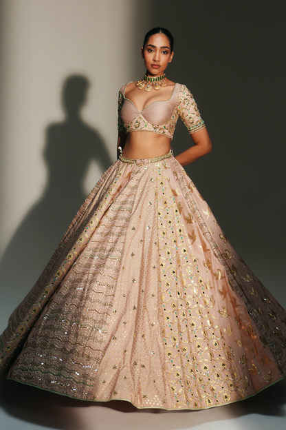 VIDHI