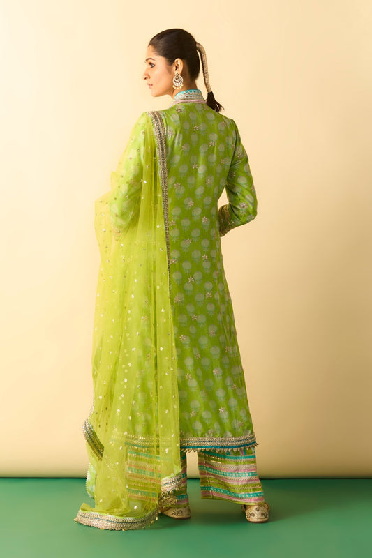 Binita Pallazo Set