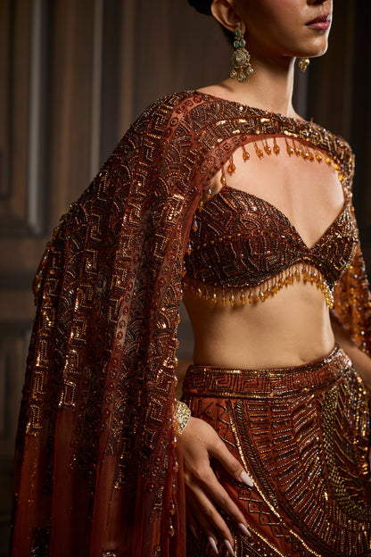 CARAMEL BROWN FULLY EMBROIDERED MERMAID TRAILSKIRT SAREE SET