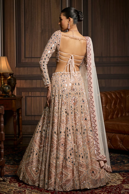 Blush Pink Embellished Mirrorwork  Lehenga Set