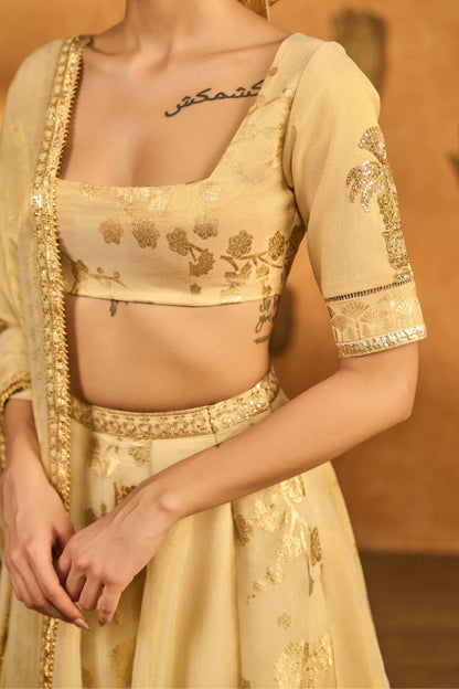 Ivory Sakura Tissue Lehenga Set
