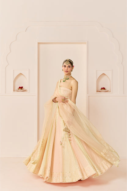 UMAIZA - CARNATION PINK  LEHENGA WITH BLOUSE AND DUPATTA