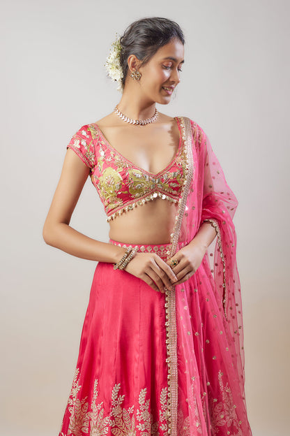 Alaya Lehenga Set