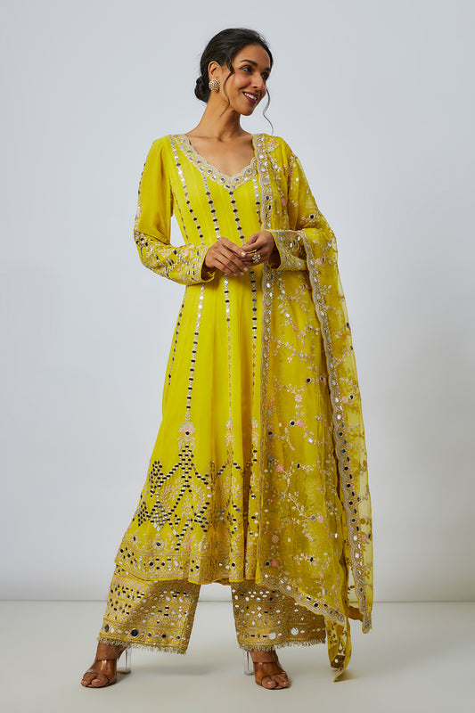 Cheshtha Anarkali Set