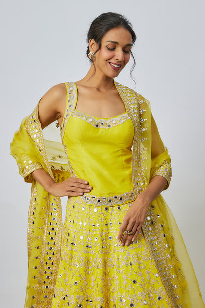 Tisya Lehenga Set