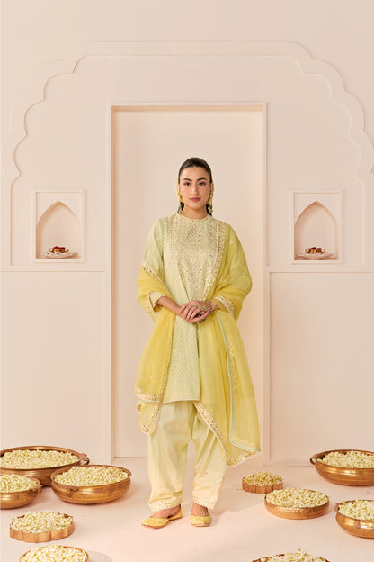 NIDA -  MINT GREEN SHORT CHOGA WITH FARSHI SALWAR AND DUPATTA