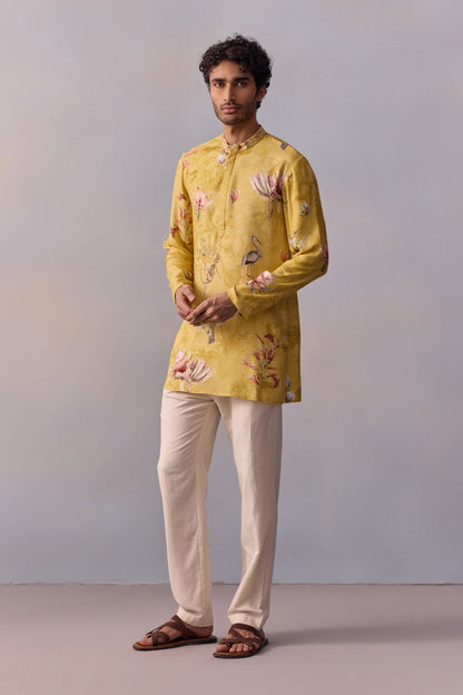 NASIR