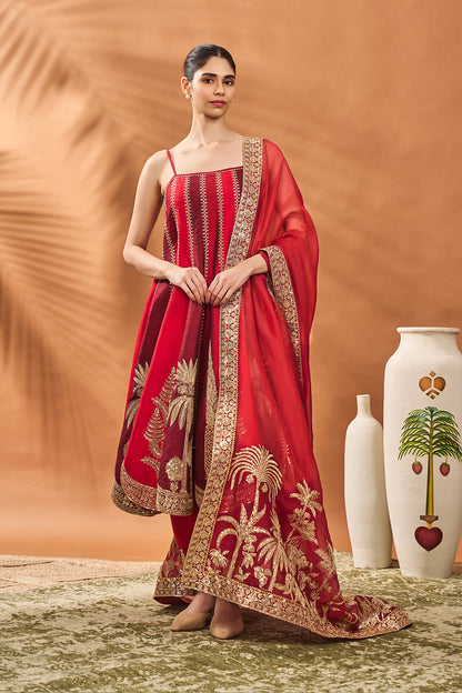 THE ANAR BAGH ANARKALI SET