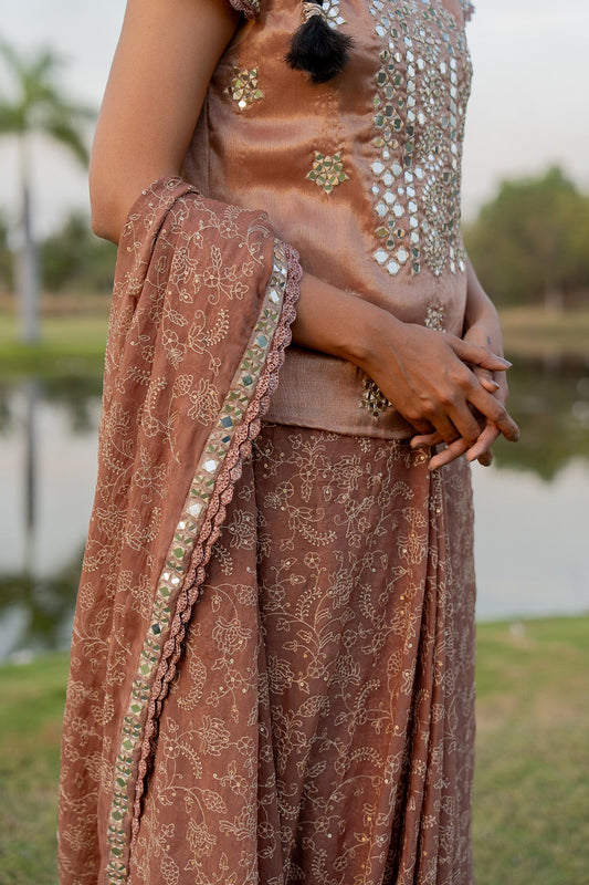 Kurti Sari