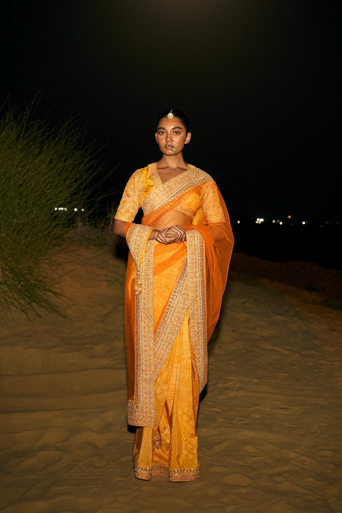 Classic sari