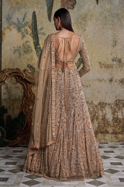 GOLD & SILVER  EMBELLISHED LEHENGA SET