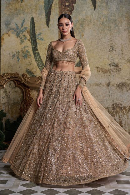 GOLD & SILVER  EMBELLISHED LEHENGA SET