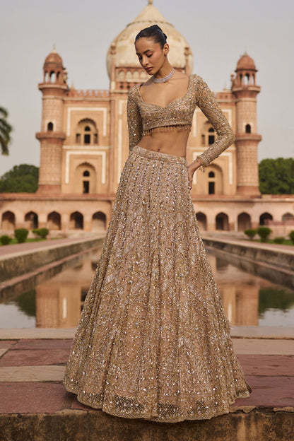 GOLD & SILVER  EMBELLISHED LEHENGA SET