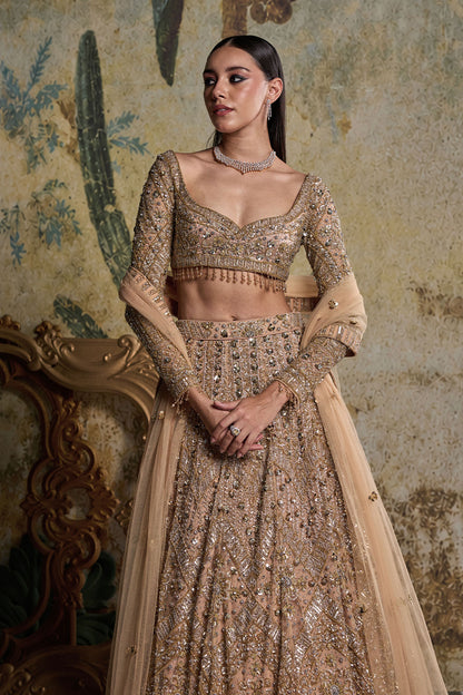 GOLD & SILVER  EMBELLISHED LEHENGA SET