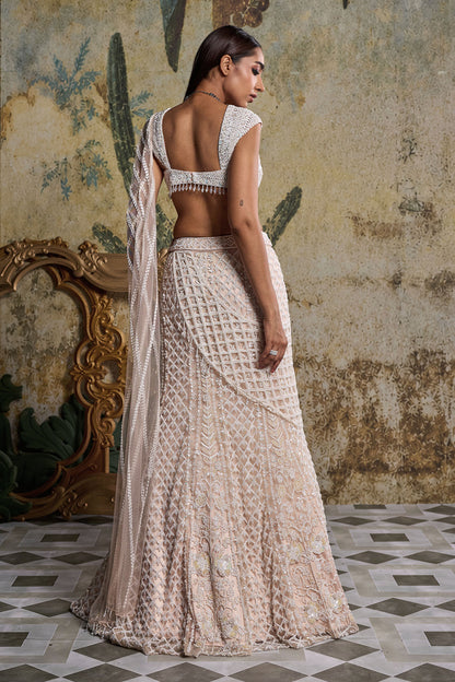 IVORY CUTWORK DRAPE EMBELLISHED SAREE SET