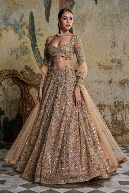 GOLD & SILVER  EMBELLISHED LEHENGA SET